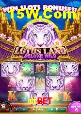 Avaliações dos Jogadores dtbet